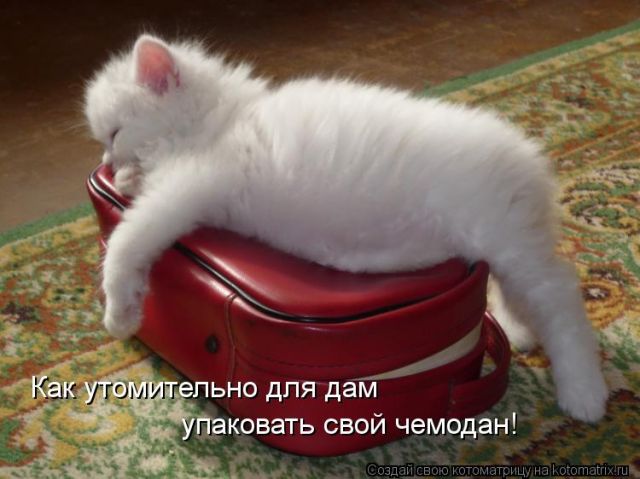 http://data.photo.sibnet.ru/upload/imggreat/133311006560.jpg